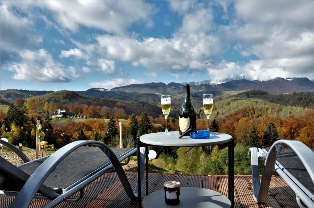 Hotel Cabanuta Din Munti à Moieciu de Jos Extérieur photo