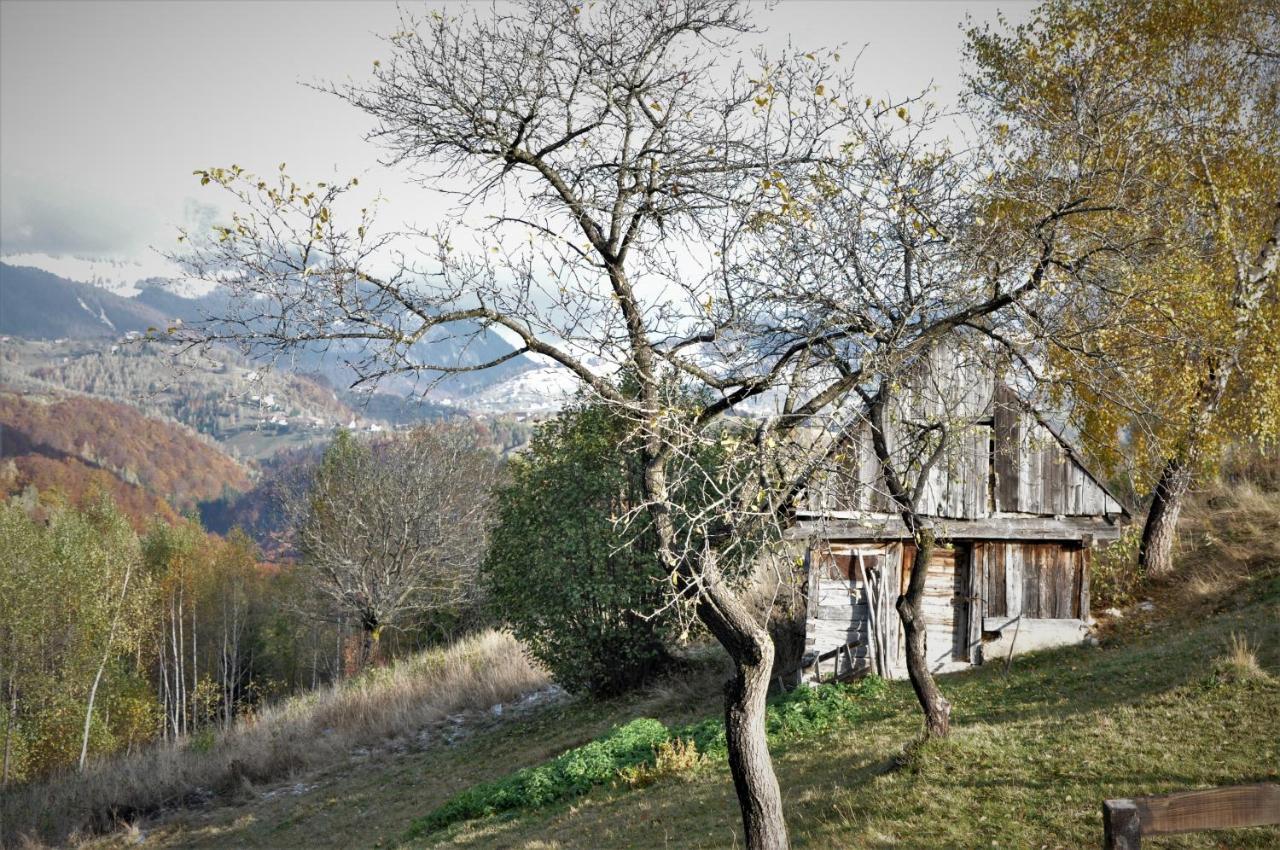 Hotel Cabanuta Din Munti à Moieciu de Jos Extérieur photo