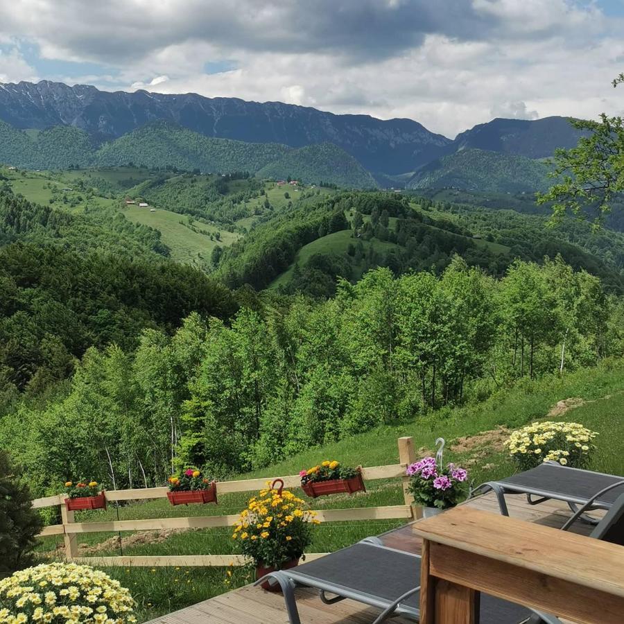 Hotel Cabanuta Din Munti à Moieciu de Jos Extérieur photo